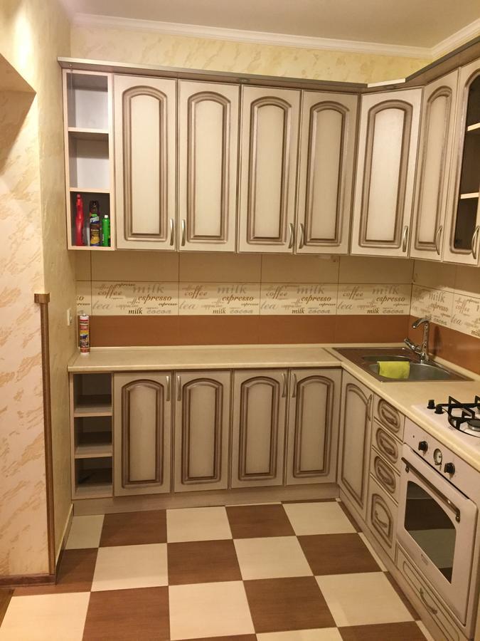 Apartment On Kostyushka 20 リヴィウ エクステリア 写真